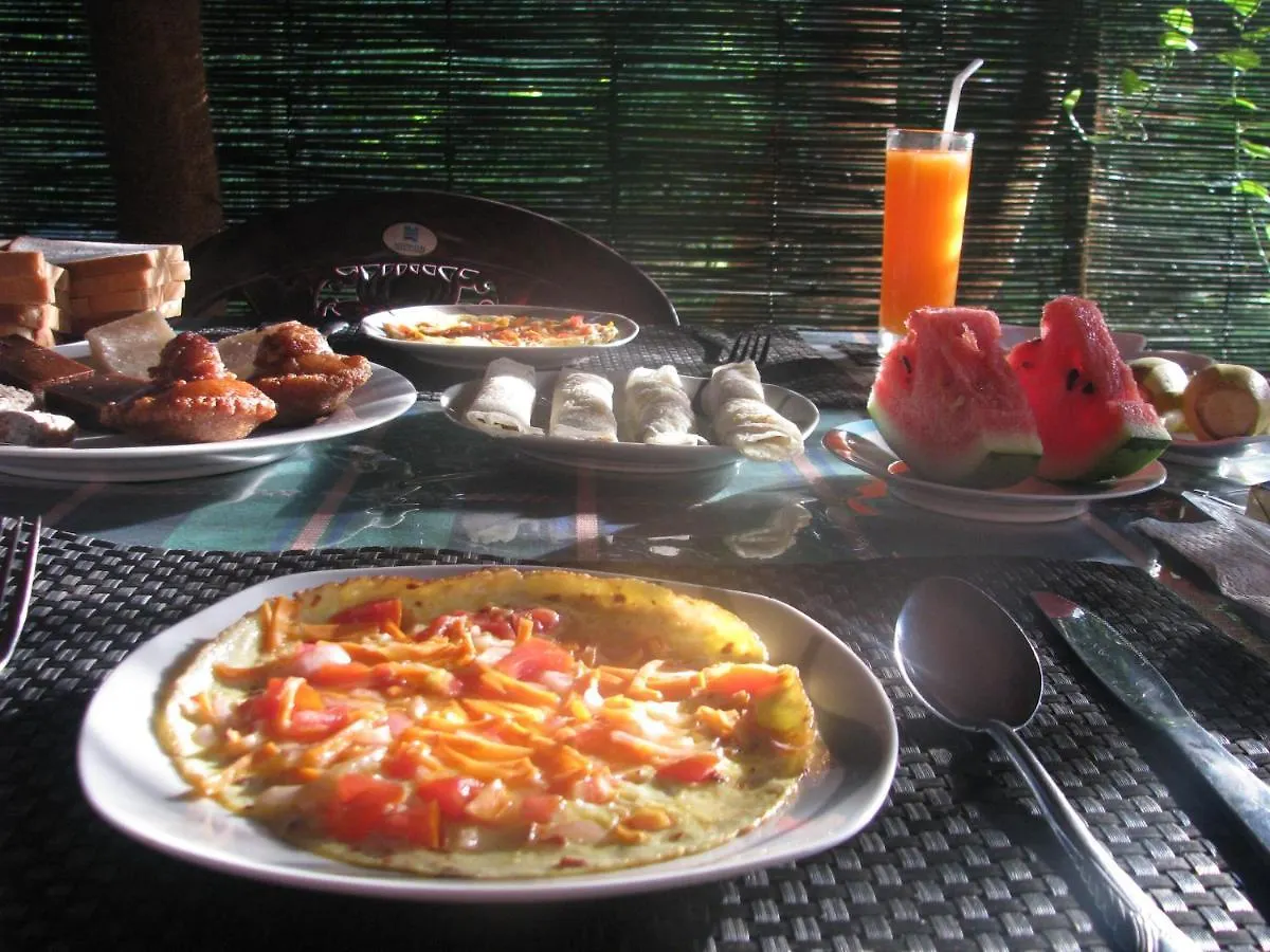 Sigiri Rock View Homestay シギリヤ
