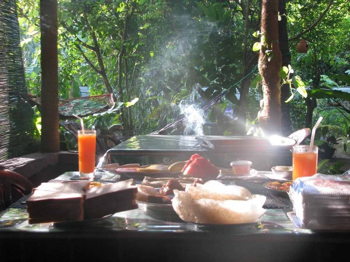 Sigiri Rock View Homestay シギリヤ
