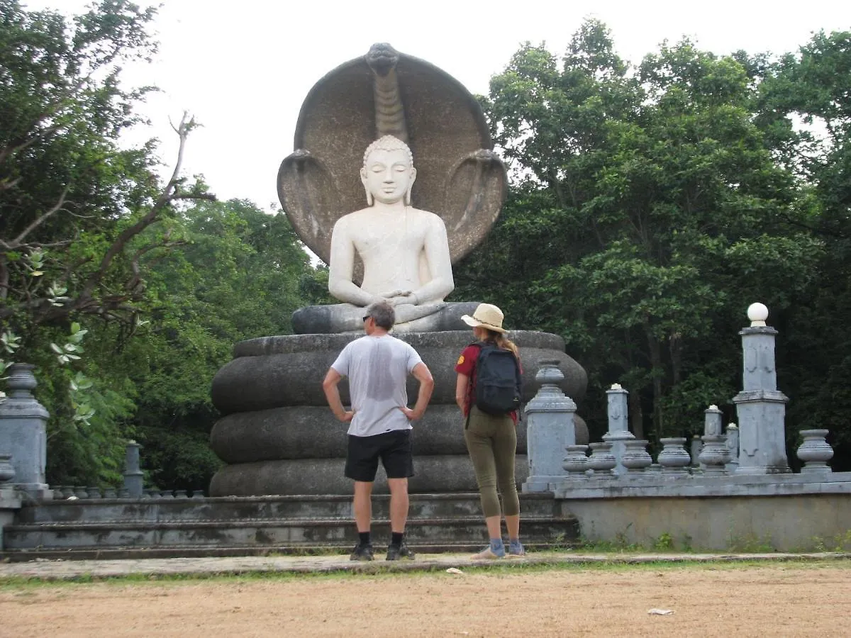 Sigiri Rock View Homestay シギリヤ