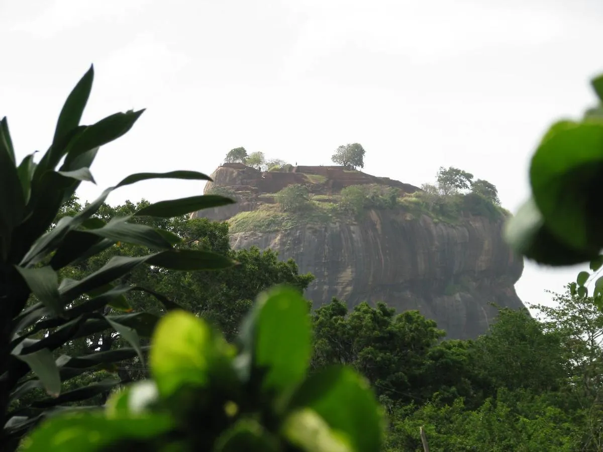 Sigiri Rock View Homestay シギリヤ 0*,  スリランカ