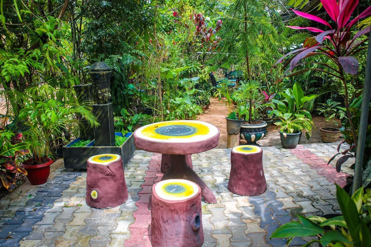 Sigiri Rock View Homestay Sigiriya