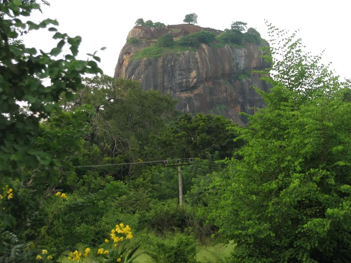 Sigiri Rock View Homestay Sigiriya