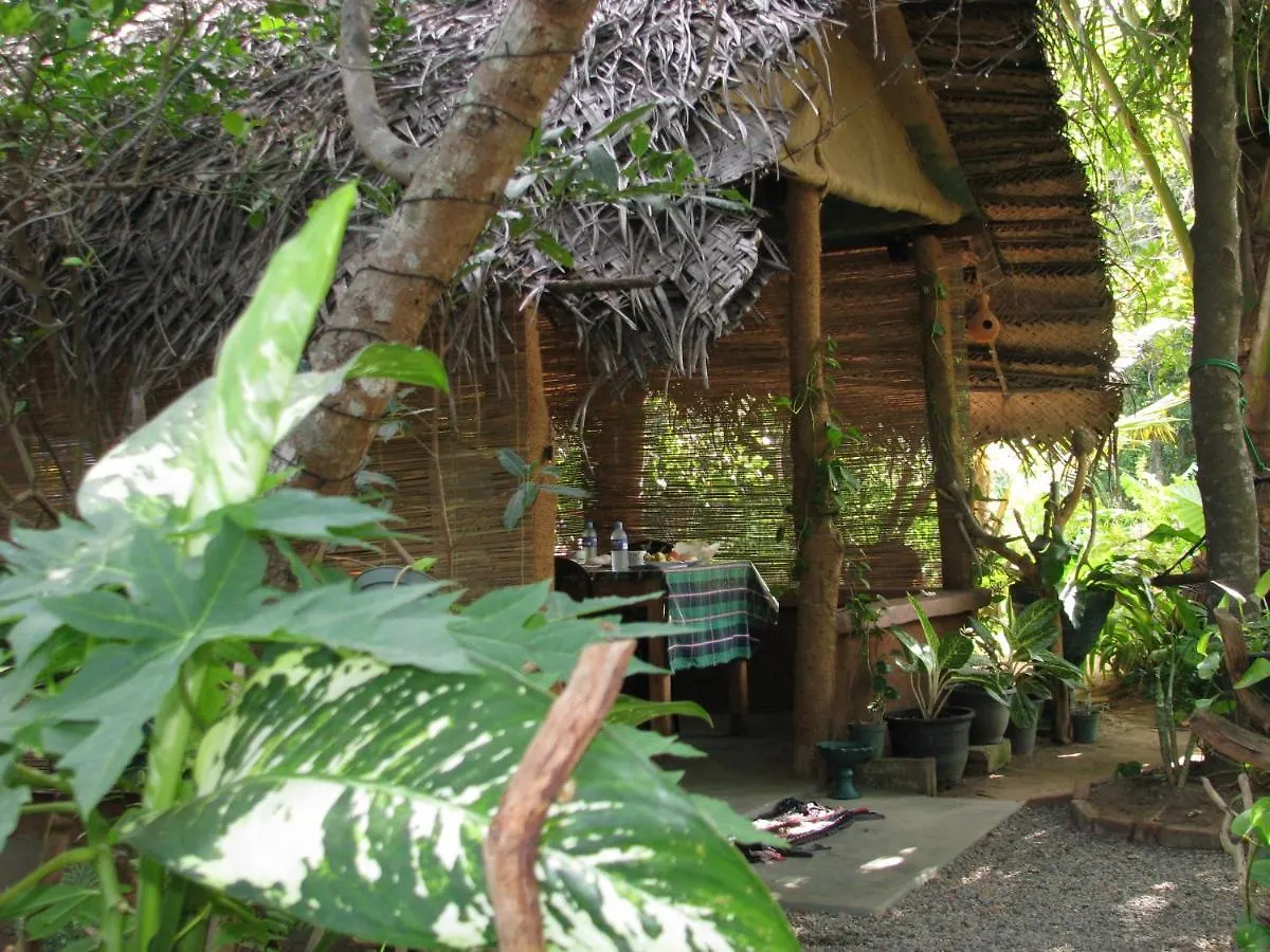 Sigiri Rock View Homestay Sigiriya
